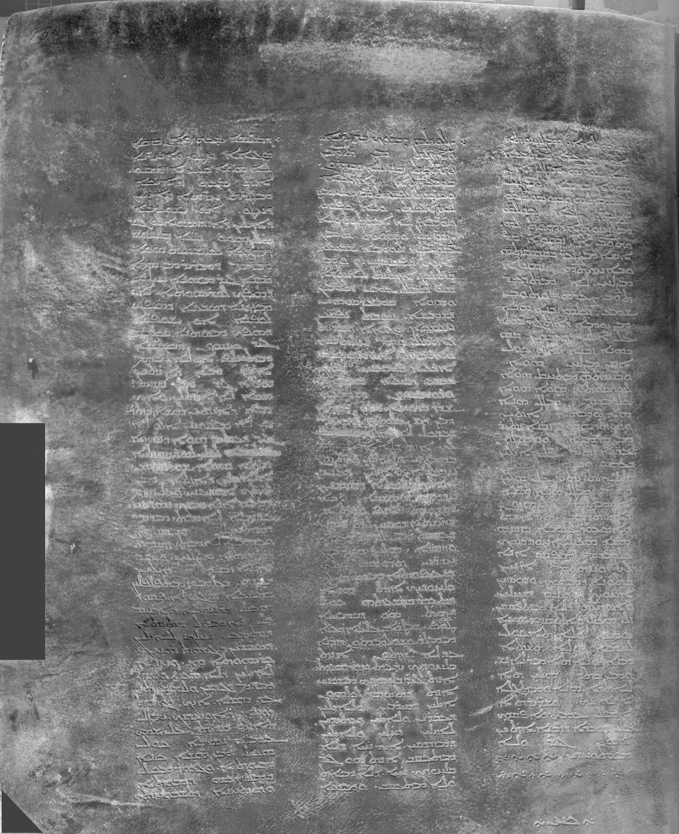 RB Toth Associates tweet media