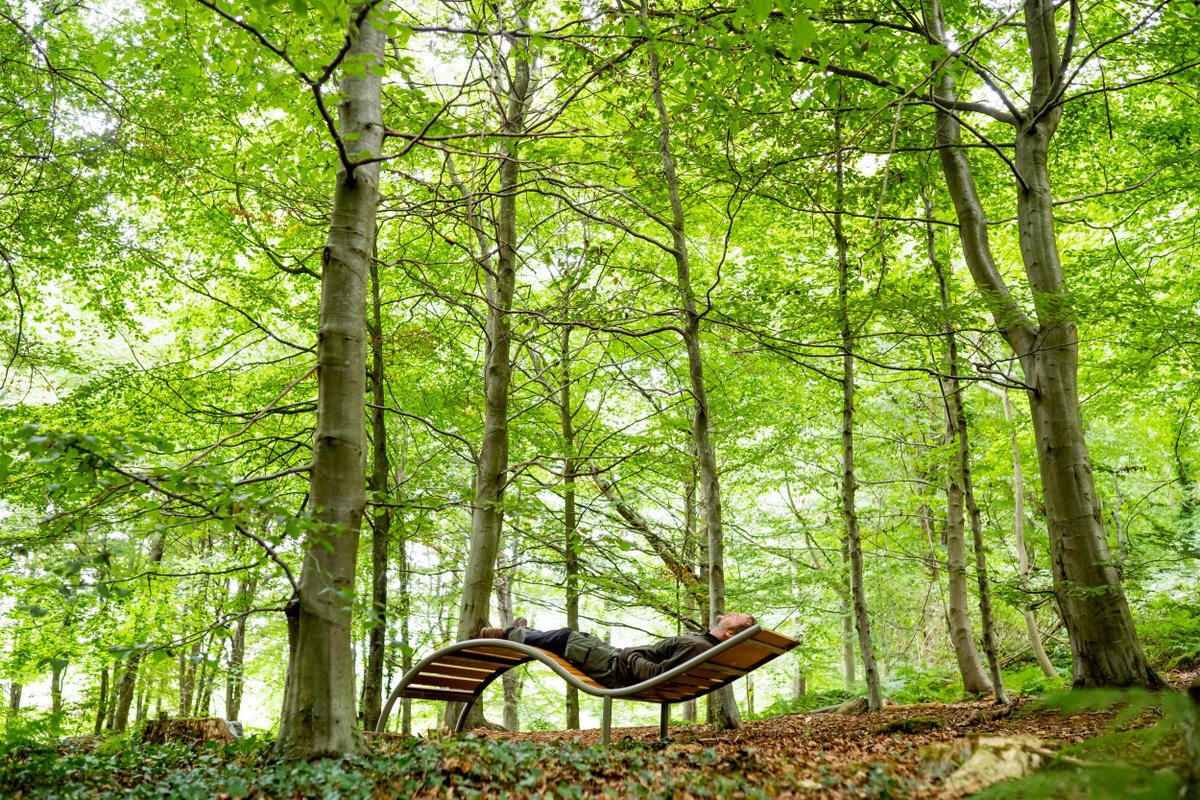 NationalTrustNI's tweet photo. Great Big Green Week is here! 🌿🌎

This year’s theme is focused on making a swap to create a safer, greener future. 

Thanks to your support we’re working to tackle climate change across places of nature, beauty and history 🌿

What swaps are you making? #GreatBigGreenWeek https://t.co/NiynIxq9Of