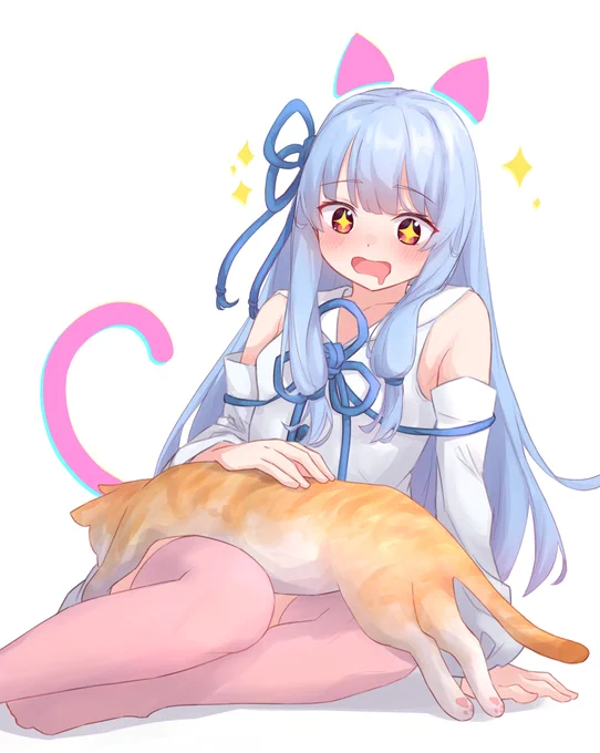 ねこーーーーーーーー 
