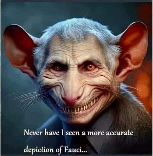 Mike Pham (@mikepha41126288) on Twitter photo 