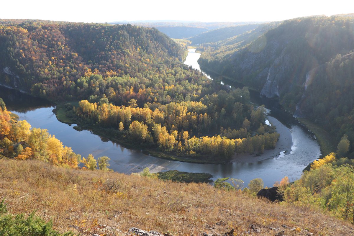 Zhitenev Vladislav tweet media