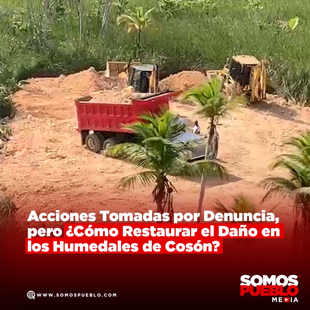 🚨 ¡Urgente! Los humedales de Cosón en Las Terrenas están siendo rellenados ilegalmente. ¿Cómo se puede restaurar este daño? ¿Qué acciones tomará el <a href="/MedioAmbienteRD/">MedioAmbienteRD</a>? Los responsables deben ser arrestados y los terrenos restaurados. ¡Exigimos respuestas y justicia! 🌱💧