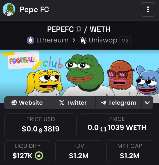 pepefccoin's tweet photo. Much better #EURO2024 🐸⚽️ https://t.co/zhG4qTM0gF