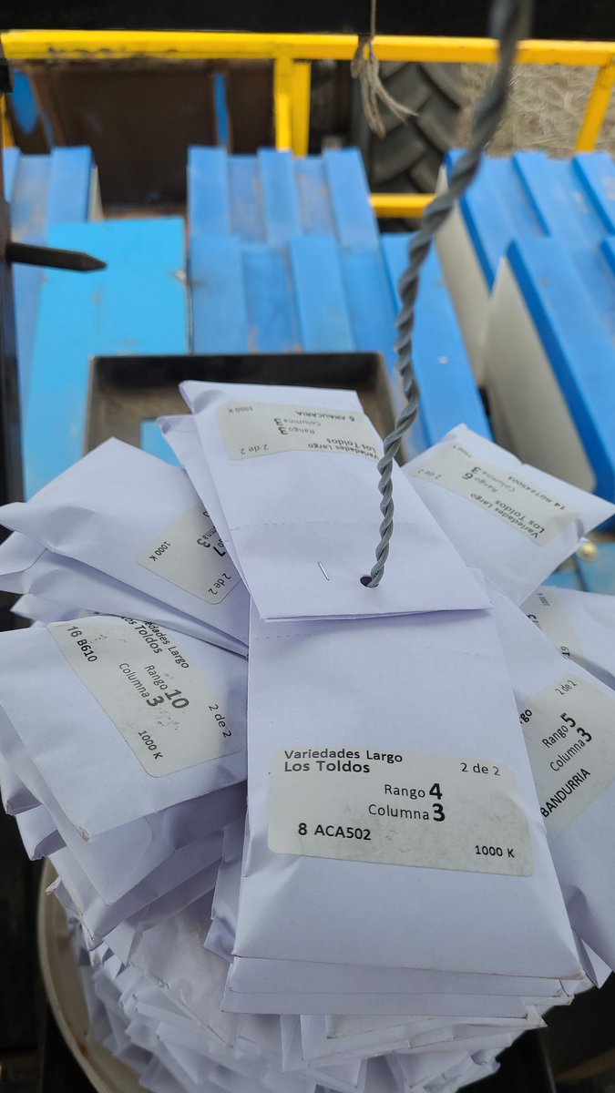 Fernando Murillo tweet media