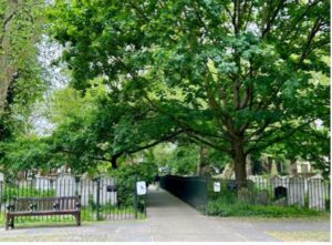 Genealogical Soc Qld tweet media