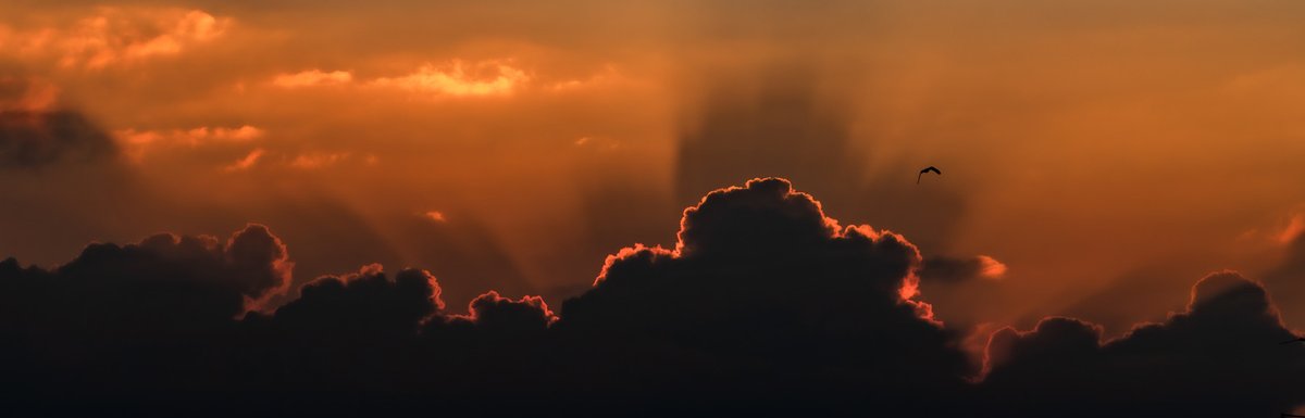 cb100_photo's tweet photo. Who has a good sunset / sunrise to share ? 
I'll retweet all https://t.co/idBGTtztMC