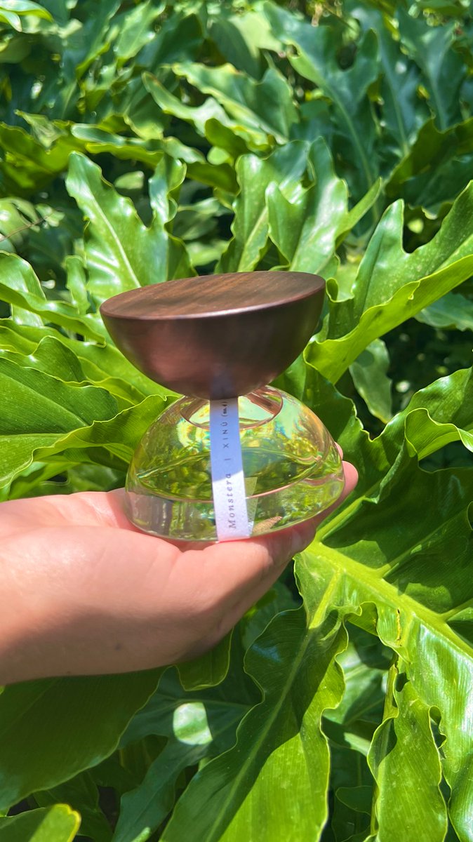If you're ever in Mexico City, you *must* treat yourself to an experience  at XINU. I am now the proud owner of the world's very first monstera  perfume. They also have the