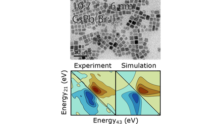 Quinten Akkerman (@q_akkerman) on Twitter photo One final work from my time <a href="/MannaLiberato/">Liberato Manna</a> <a href="/NanochemistryI1/">Nanochemistry_IIT</a> ;
Exciton–photocarrier interference in mixed lead-halide-perovskite nanocrystals
Nice collaboration with @CSilvaAcuna <a href="/RamKandada/">Ajay Ram Srimath Kandada</a>!
pubs.aip.org/aip/jcp/articl… One final work from my time <a href="/MannaLiberato/">Liberato Manna</a> <a href="/NanochemistryI1/">Nanochemistry_IIT</a> ;
Exciton–photocarrier interference in mixed lead-halide-perovskite nanocrystals
Nice collaboration with @CSilvaAcuna <a href="/RamKandada/">Ajay Ram Srimath Kandada</a>!
pubs.aip.org/aip/jcp/articl…