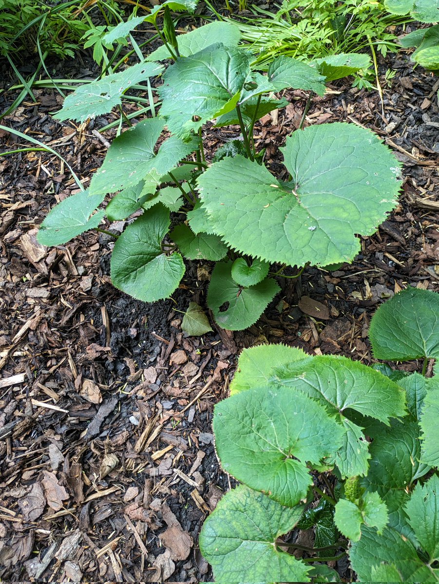 Adam Parker tweet media