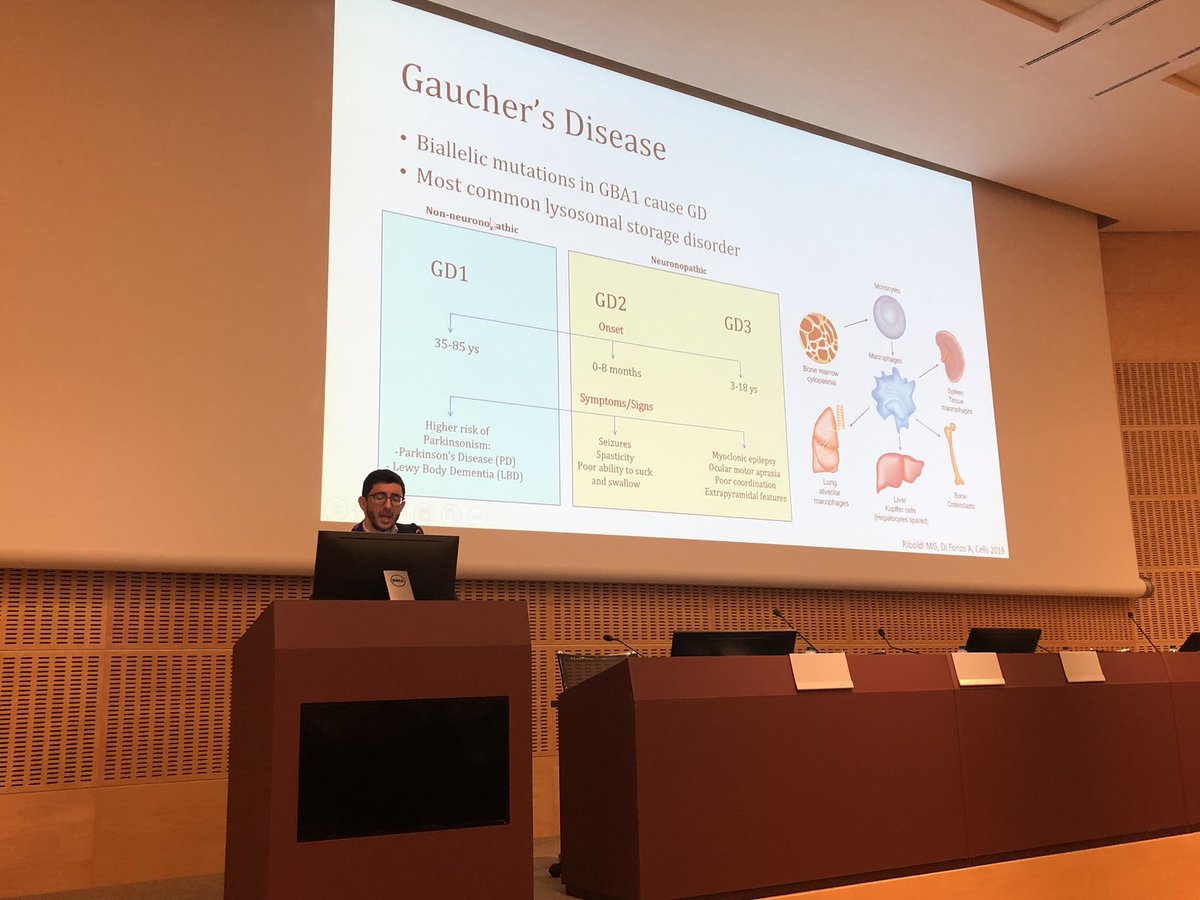 MeGARBiLab's tweet photo. @Michela30586273 @HUNIMED @AlessioDiFonzo1  on #GBA and how to detect  #GaucherDisease in #Parkinsons patients (or viceversa). Great talk! https://t.co/8g0hrItVV6