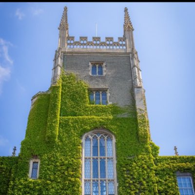 DanielTanCS's tweet photo. #NewProfilePic https://t.co/8WgLJCWoAN