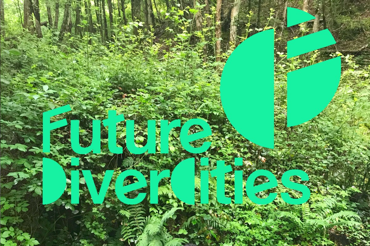 Future DiverCities tweet media