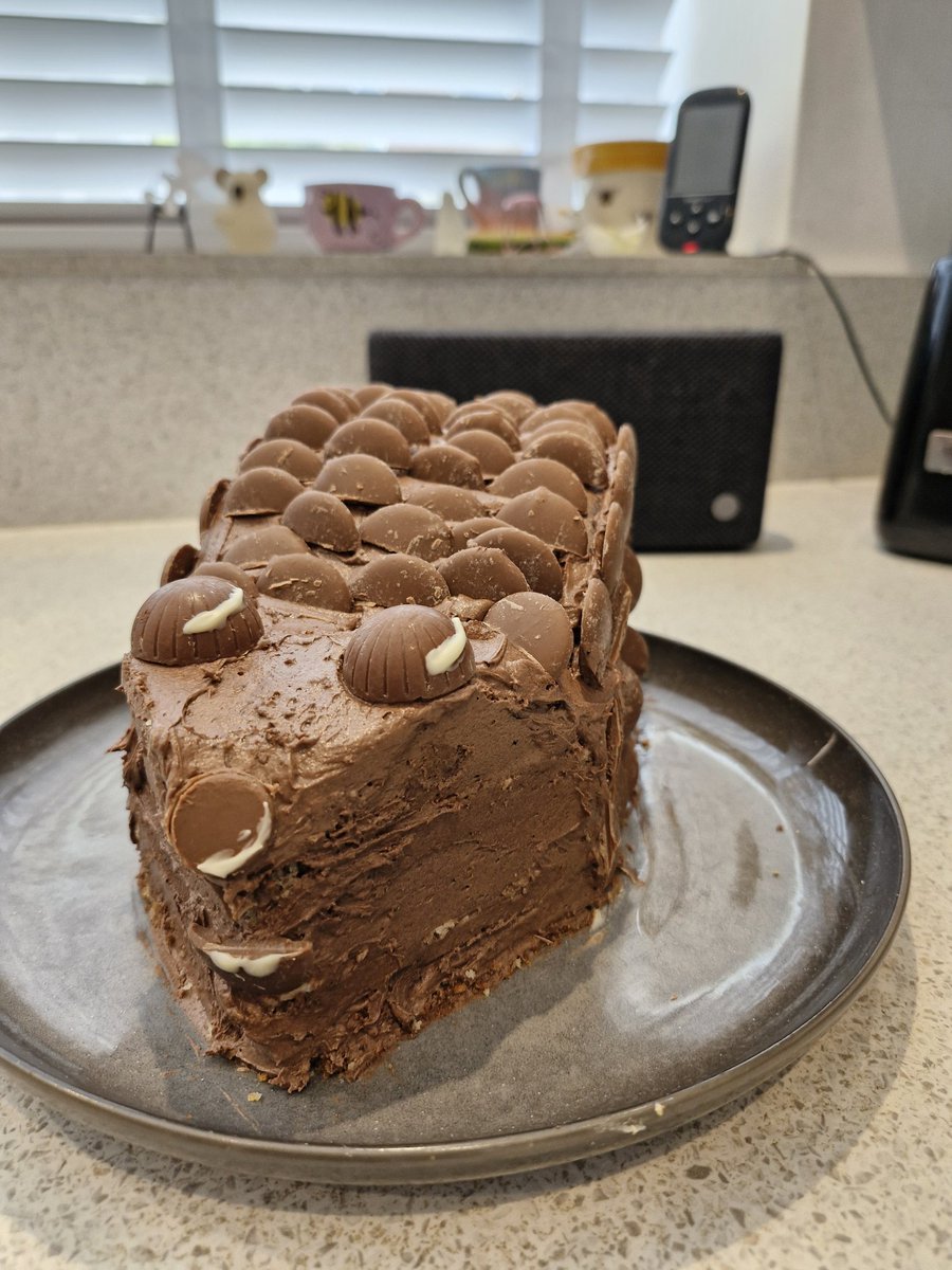 eleanorsapph's tweet image. I thought making a hedgehog cake would be easy, oh how I was wrong... 🦔🍰 #bakingfail #hedgehogcake