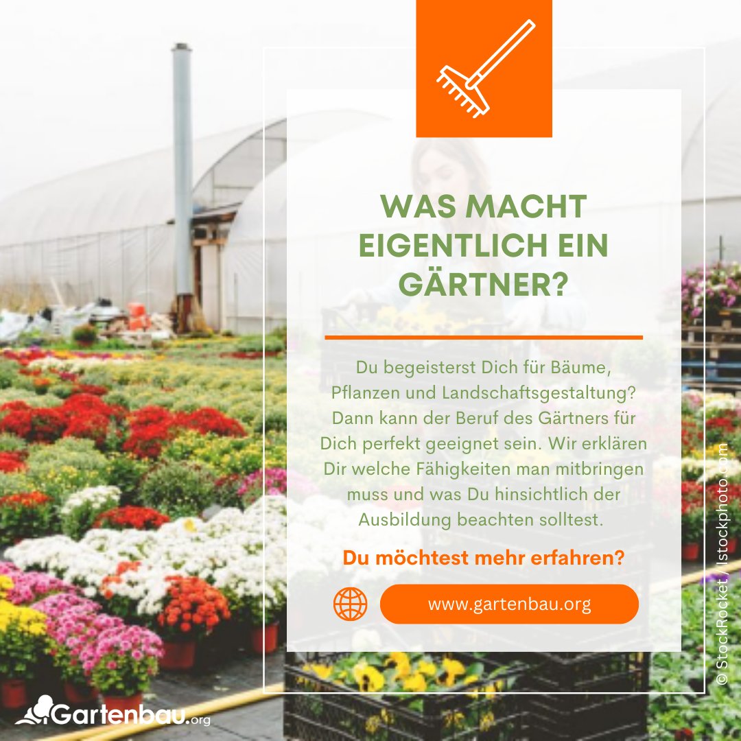 Gartenbau_org's tweet photo. Neugierig, was ein Gärtner wirklich macht?🌿👩‍🌾 In unserem Artikel werfen wir einen Blick hinter die Kulissen und zeigen Dir die vielfältigen Aufgaben eines Gärtners.🌱https://t.co/EeG1efUgJQ  #GartenbauOrg https://t.co/271Rqgt7r6