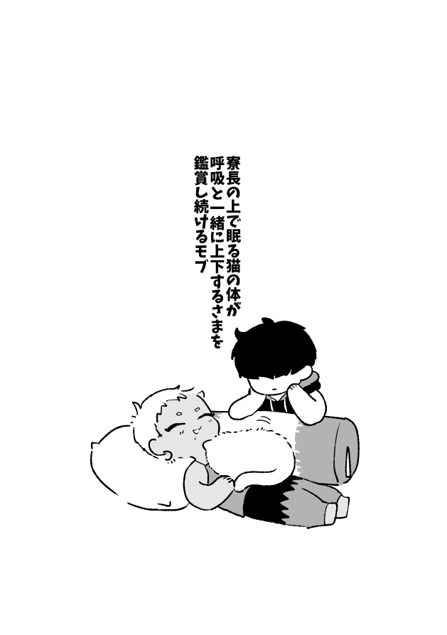 💤 