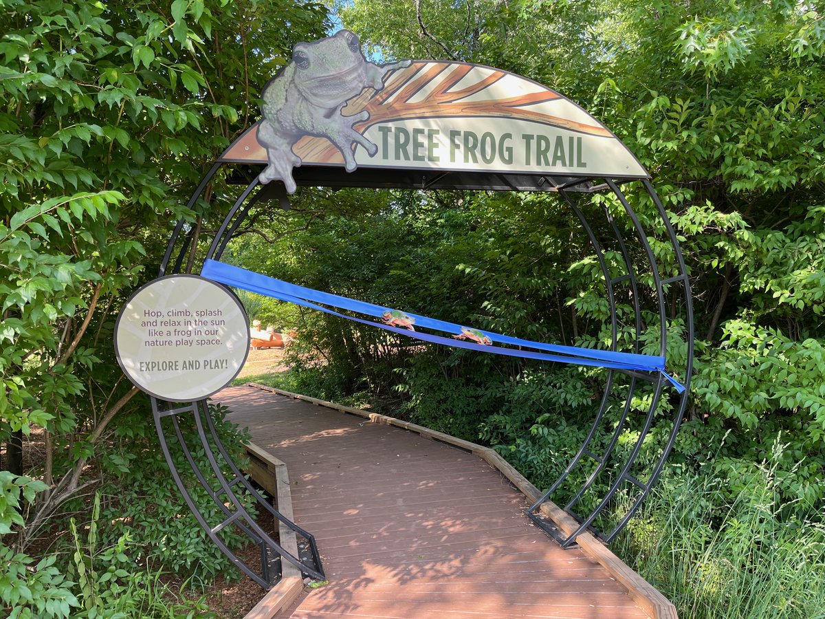 🌟 Exciting News! 🌟

Join us this Saturday for the grand opening of the Tree Frog Trail children's play area, coinciding with the much-anticipated opening of the Kate Gorrie Butterfly House! 🐸🦋