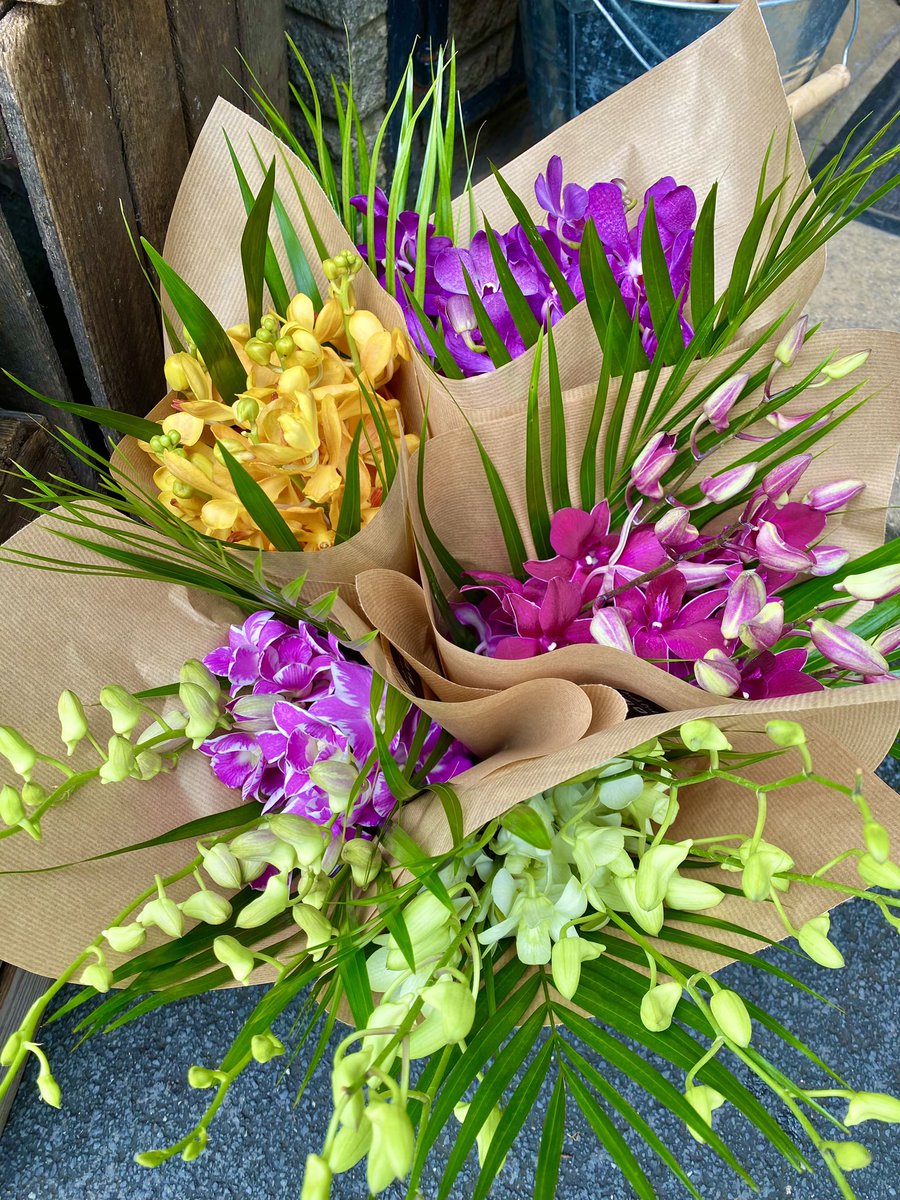 Did you know… we get a weekly delivery of stunning Dendrobium Orchids!! £12.50 a bunch or £20 with mixed exotic foliages in a gift bag. They are the flowers that keep giving…… all the beautiful buds open to give more and more flowers! 

#florist #flowers #flowershop #newmills