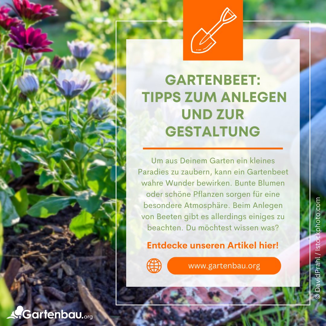 Gartenbau_org's tweet photo. 🌱 Entdecke die Vielfalt der Gartenbeete: Von blühenden   Blumenbeeten bis hin zu üppigen Gemüsebeeten - es ist für jeden grünen Daumen   etwas dabei! 💐🥕 Welche Art von Beet passt zu Dir? 🌿
https://t.co/XoxyH851jK
#GartenbauOrg https://t.co/VXI6kJyyBP