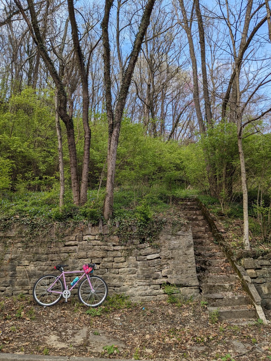 U_arctos's tweet photo. the vast majority of americans don't realize this is what cincinnati actually looks like https://t.co/HkO23O7AN1