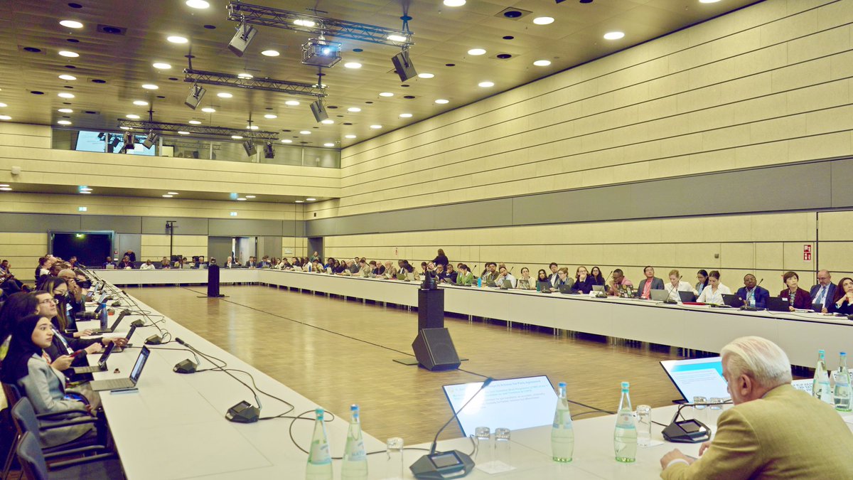 Manal Shehabi 马梦真 tweet media