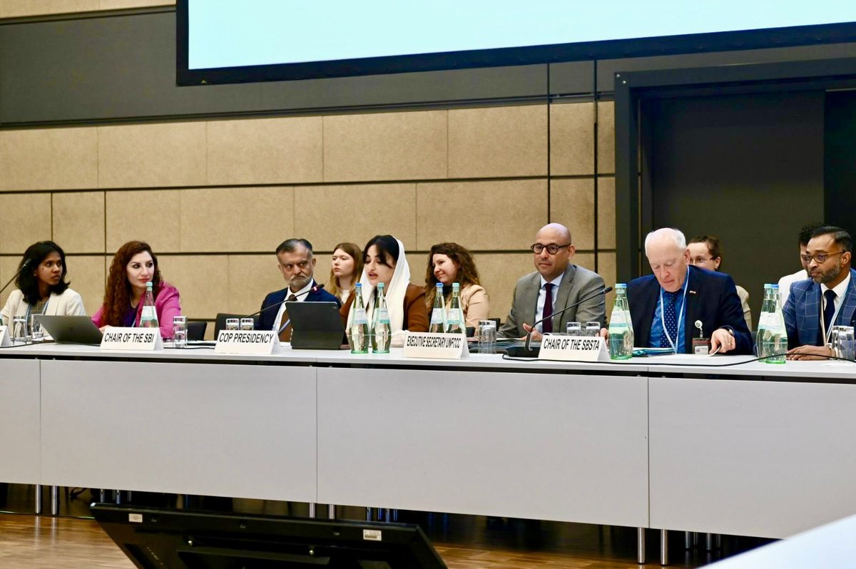 Manal Shehabi 马梦真 tweet media