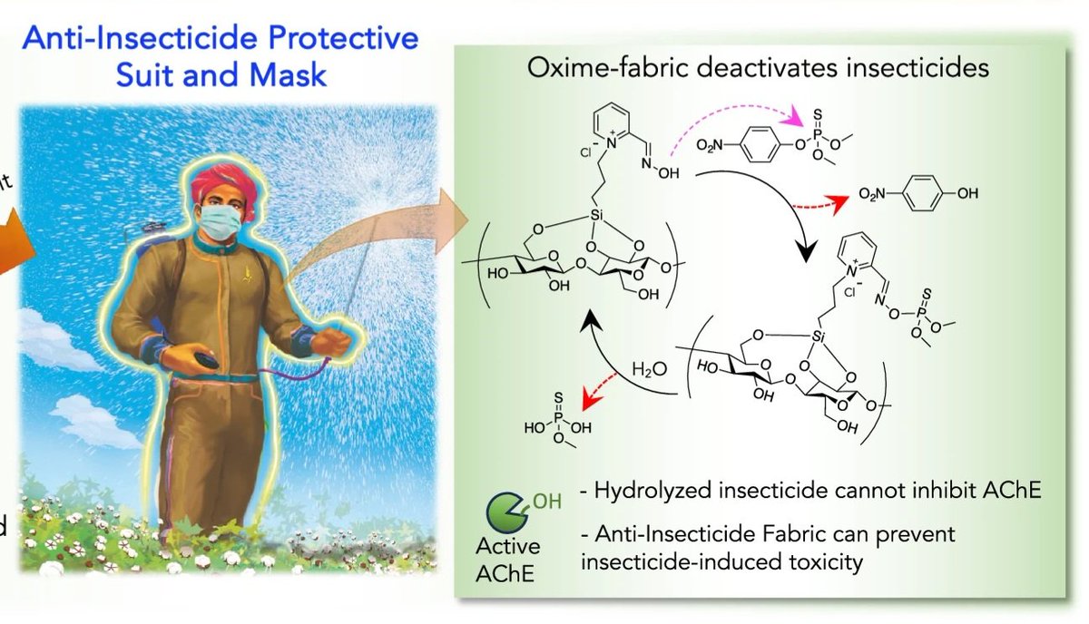 iBRIC-inStem (@dbt_instem) on Twitter photo A bodysuit stitched of this oxime-fabric can prevent neuronal damage, loss of muscle strength & endurance that insecticide exposures can cause - better than ordinary cloth!
The #research team - @mahendrakmohan2
@ketan_thorat9
@omprakashsunapu
<a href="/RVenksR/">Venkatesh Ravula</a>
@sepiohealth
<a href="/schandrap1/">Dr. Sandeep Chandrashekharappa</a> A bodysuit stitched of this oxime-fabric can prevent neuronal damage, loss of muscle strength & endurance that insecticide exposures can cause - better than ordinary cloth!
The #research team - @mahendrakmohan2
@ketan_thorat9
@omprakashsunapu
<a href="/RVenksR/">Venkatesh Ravula</a>
@sepiohealth
<a href="/schandrap1/">Dr. Sandeep Chandrashekharappa</a>