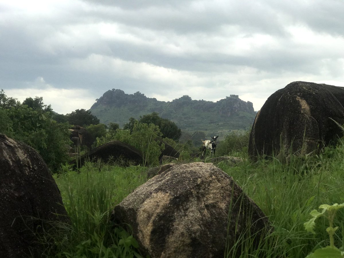 Karamoja Focus tweet media