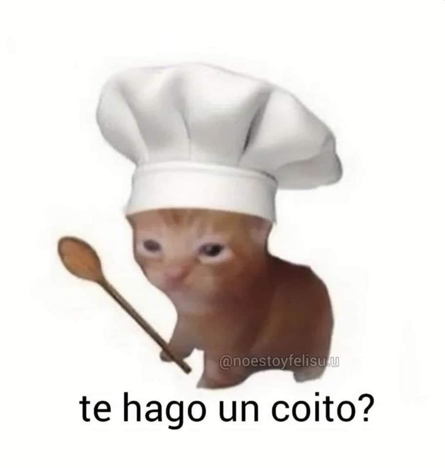 belipelona's tweet photo. La especialidad del chef (yo) https://t.co/UF65sa3gTM