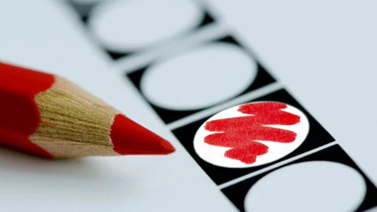 Definitieve uitslag van de #Verkiezing Europees Parlement voor Lansingerland is bekend. De PVV heeft met 4.278 de meeste stemmen gekregen, 2e is de VVD met 3.946 stemmen en 3e is GROENLINKS/Partij van de Arbeid (PvdA) met 3.461 stemmen. 

Alle uitslagen⤵️
bit.ly/4ce3Rlo