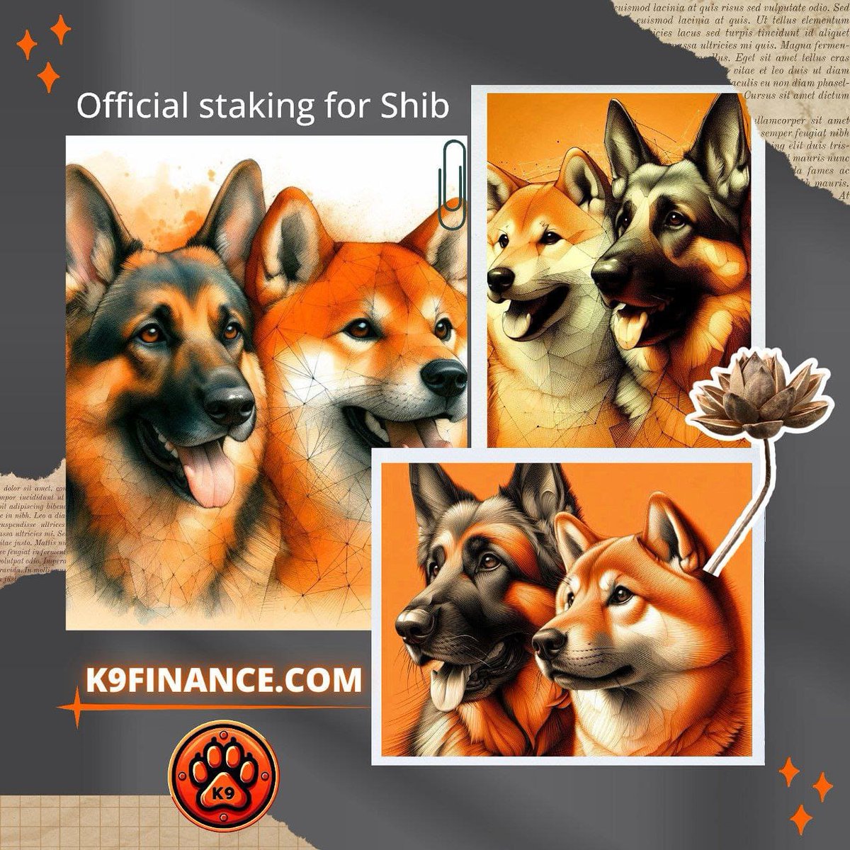 Investors can rely on the reliability and integrity of #K9Finance's DeFi offerings, which prioritize quality over quantity.

$KNINE
#KNINE 
X: x.com/K9finance

⭐ linktr.ee/k9finance

🌊#shibarium  
#CMTitans #CMT