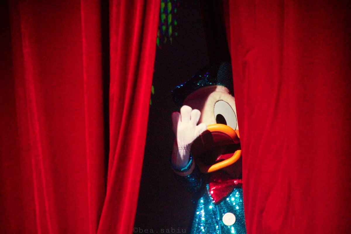 bea_sabiu's tweet photo. #Donald90 à Videopolis🧡 https://t.co/PB1mnDR1Wn