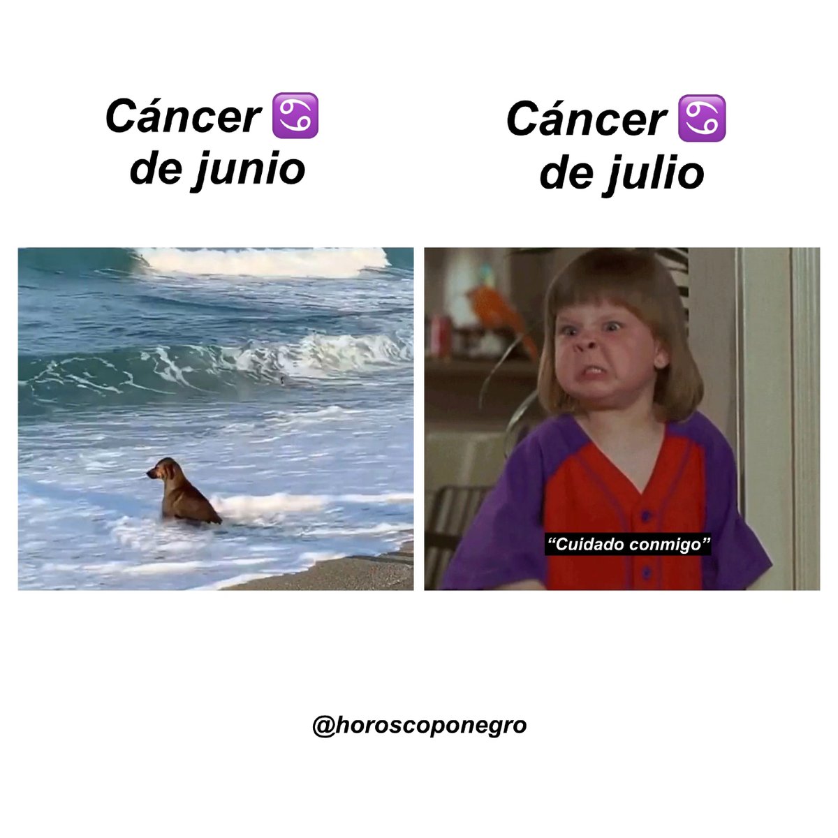 ¿En qué fecha naciste? 🔮