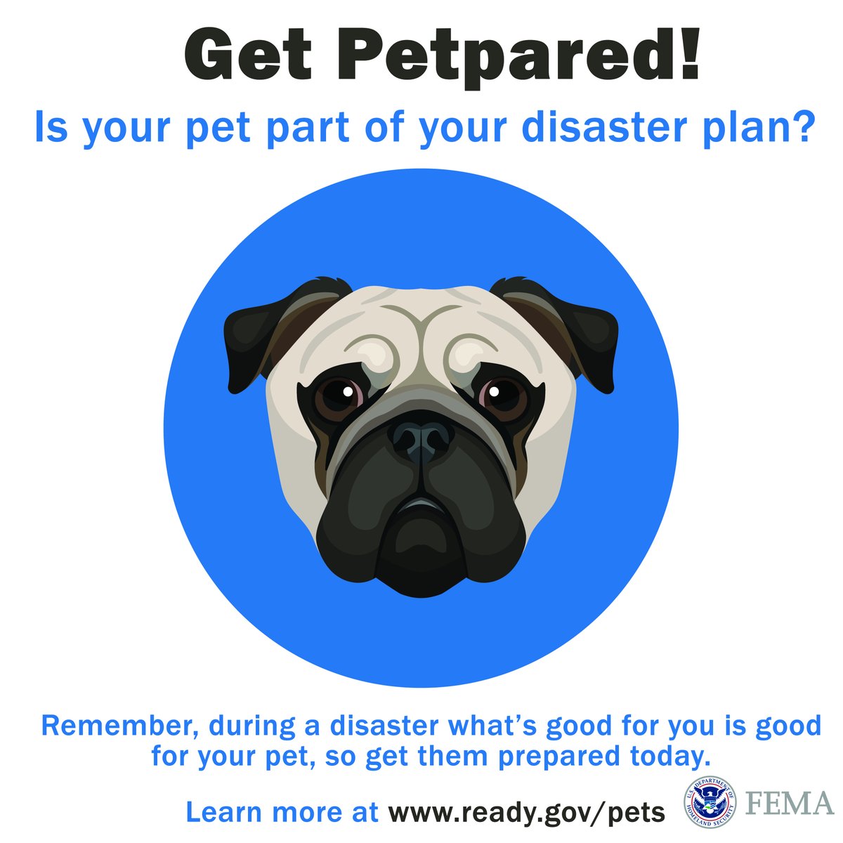 FCEMHS's tweet image. Are you ready for an emergency? As part of National Pet Preparedness Month, we encourage you to include your furry family members in your family emergency plan. Visit Ready.gov/Pets for ways to keep your pets safe during an unexpected event. #PetPreparedness