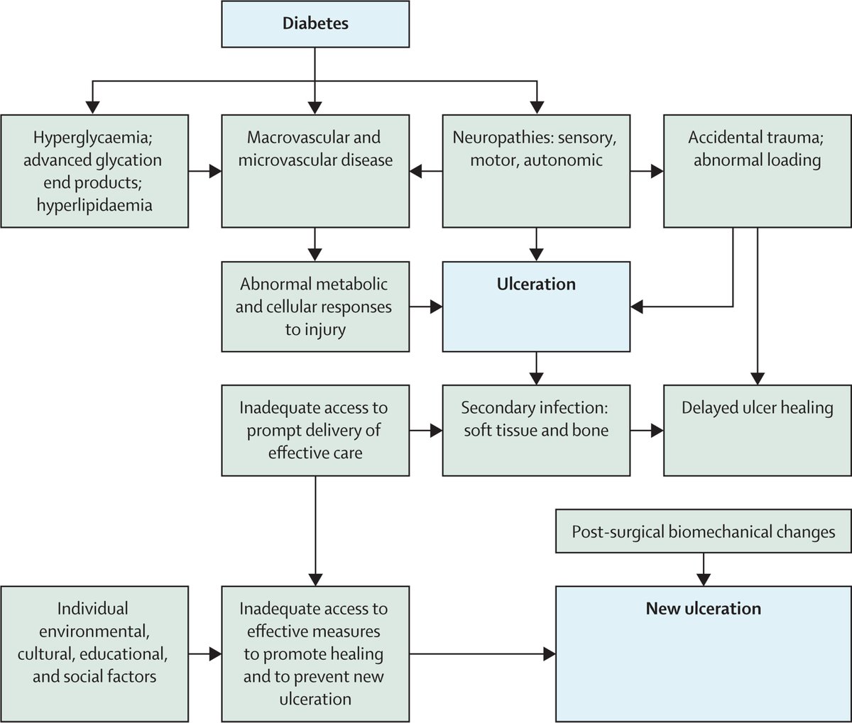The Lancet (@thelancet) on Twitter photo Diabetes-related foot ulcers (DFUs) continue to inflict a harmful toll on people with diabetes.
A new Review in <a href="/TheLancetEndo/">The Lancet Diabetes & Endocrinology</a> highlights the complexity of the pathological processes that underlie DFUs: hubs.li/Q02B3V_m0 Diabetes-related foot ulcers (DFUs) continue to inflict a harmful toll on people with diabetes.
A new Review in <a href="/TheLancetEndo/">The Lancet Diabetes & Endocrinology</a> highlights the complexity of the pathological processes that underlie DFUs: hubs.li/Q02B3V_m0