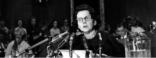 zuroichi's tweet photo. Also, trivia: Rachel Carson, author of Silent Spring and considered as the "mother of environmental movements", was a lesbian

Industry attacked her credibility by labeling her "gender non-conformity" as communist/anti-American, and dismissed her prose as "amateur" and "emotional https://t.co/MJj1eJD0HC