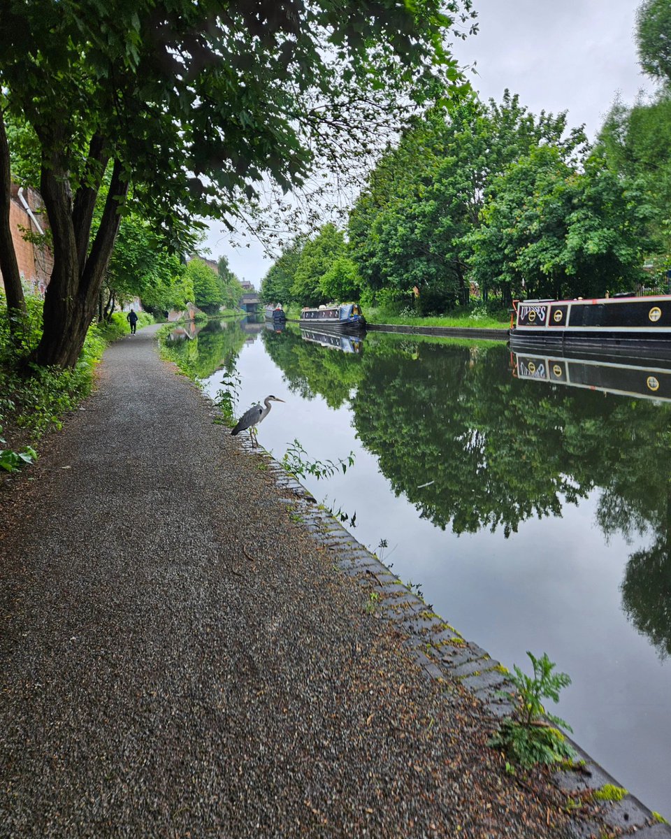 Danny Booth tweet media