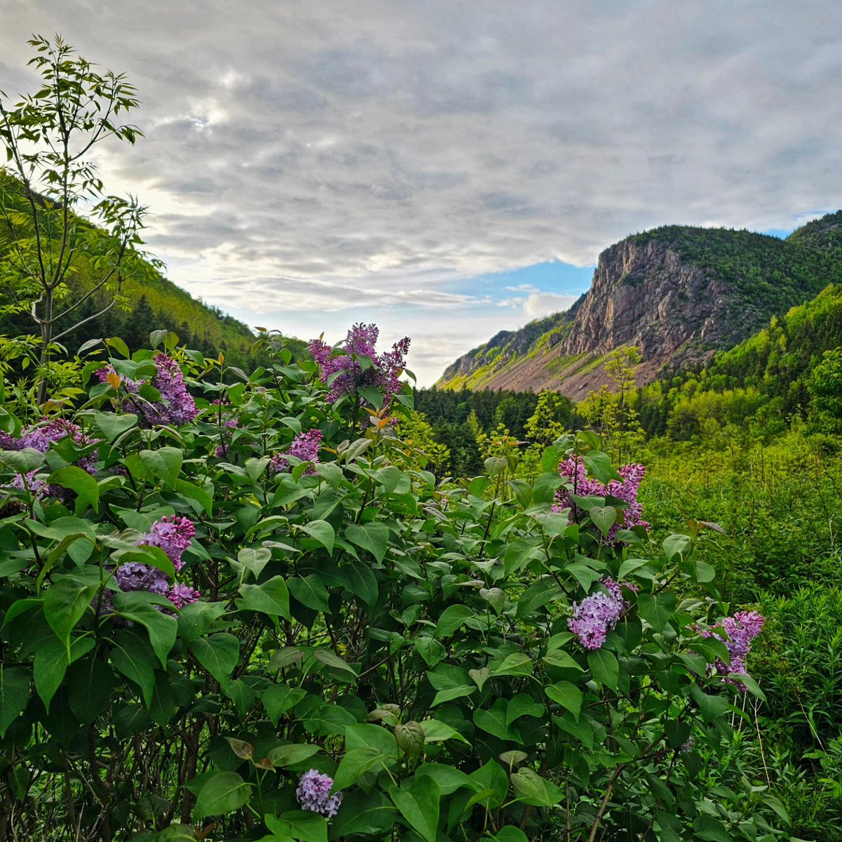 keepexploringCB's tweet image. My favorite weekend views 🙂
#keepexploring #visitcapebreton