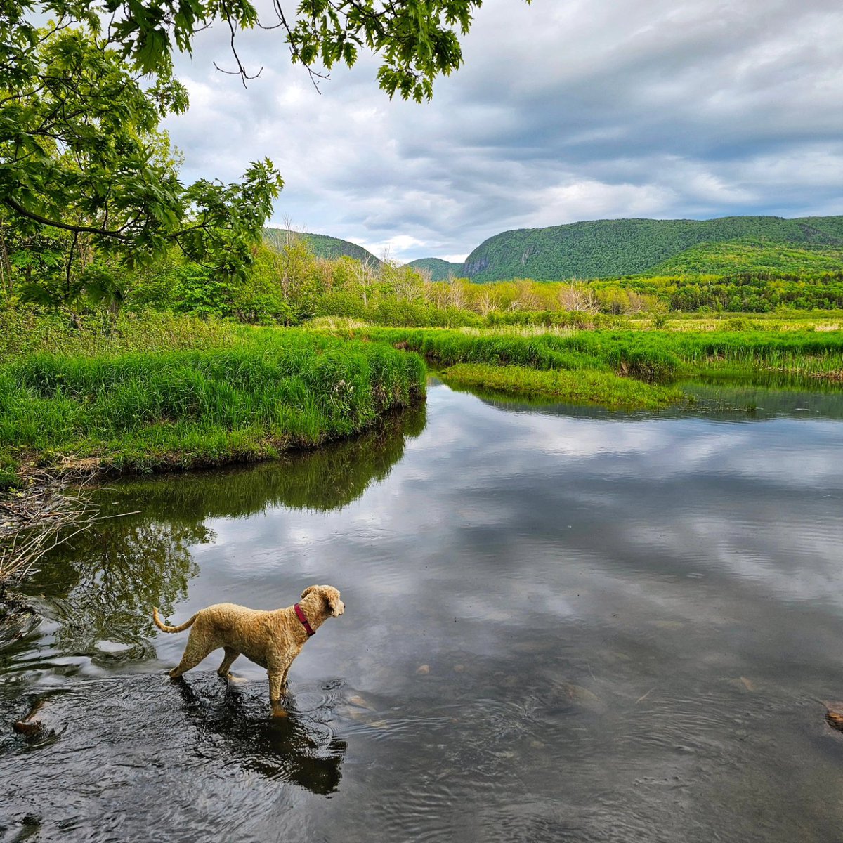 keepexploringCB's tweet image. My favorite weekend views 🙂
#keepexploring #visitcapebreton
