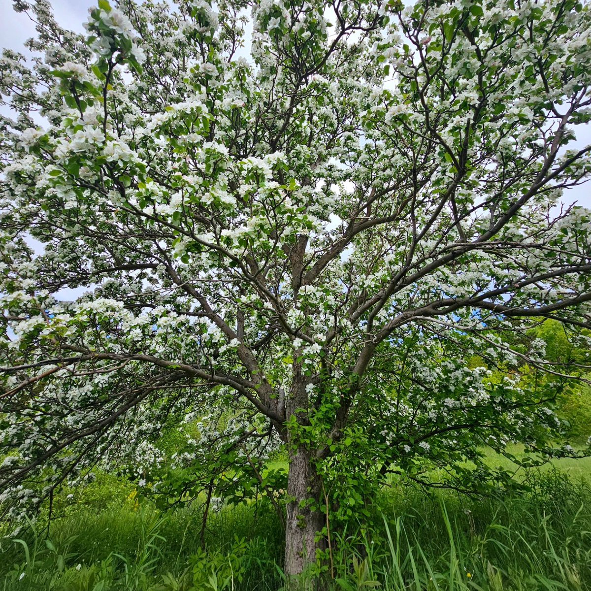 keepexploringCB's tweet image. My favorite weekend views 🙂
#keepexploring #visitcapebreton