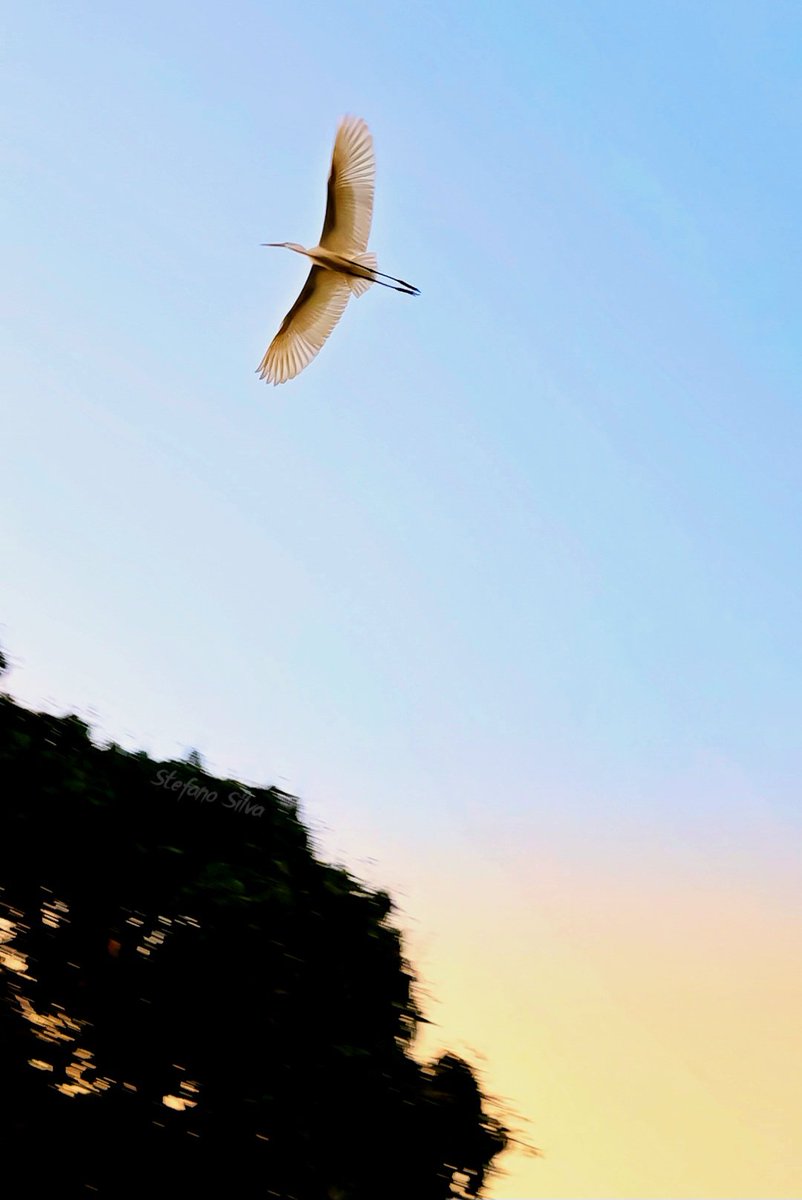 VisintSs's tweet photo. Beauty can be seen in all
things, seeing and composing beauty
It's what separates the simple image
of photography! 📸📱
@snapdragon_BRA @Snapdragon @snapdragon_LAT @samsungbrasil
@samsungwithgalaxy #ShotOnSnapdragon #GalaxyS23Ultra #Snapdragon #SnapdragonBR
#snapdragoninsiders https://t.co/TIfZn9HBz8