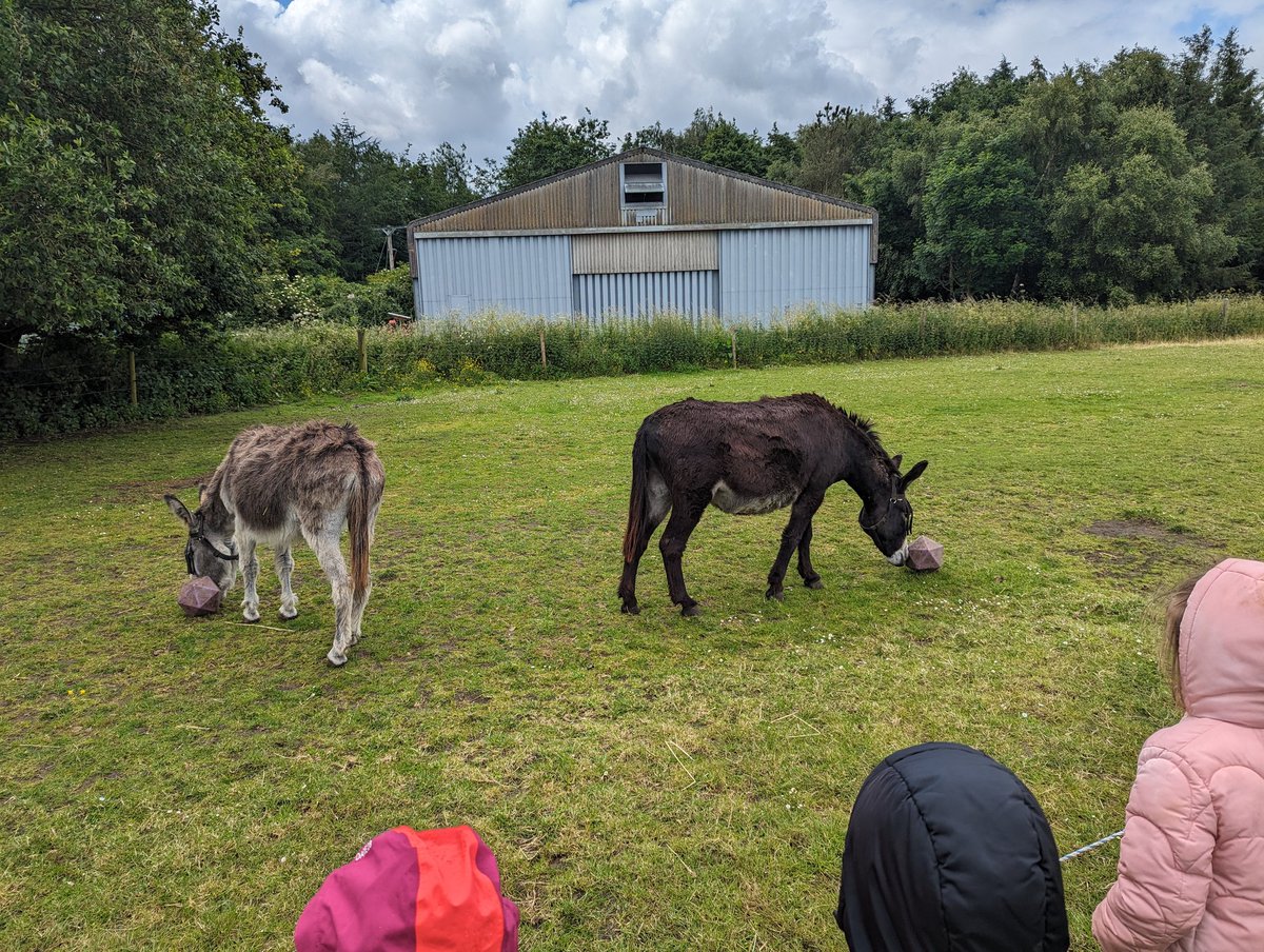 Hibaldstow Academy tweet media