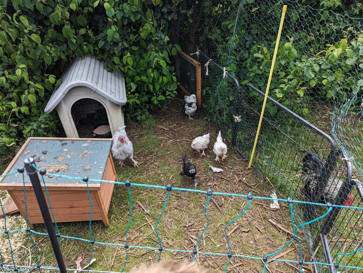 Hibaldstow Academy tweet media