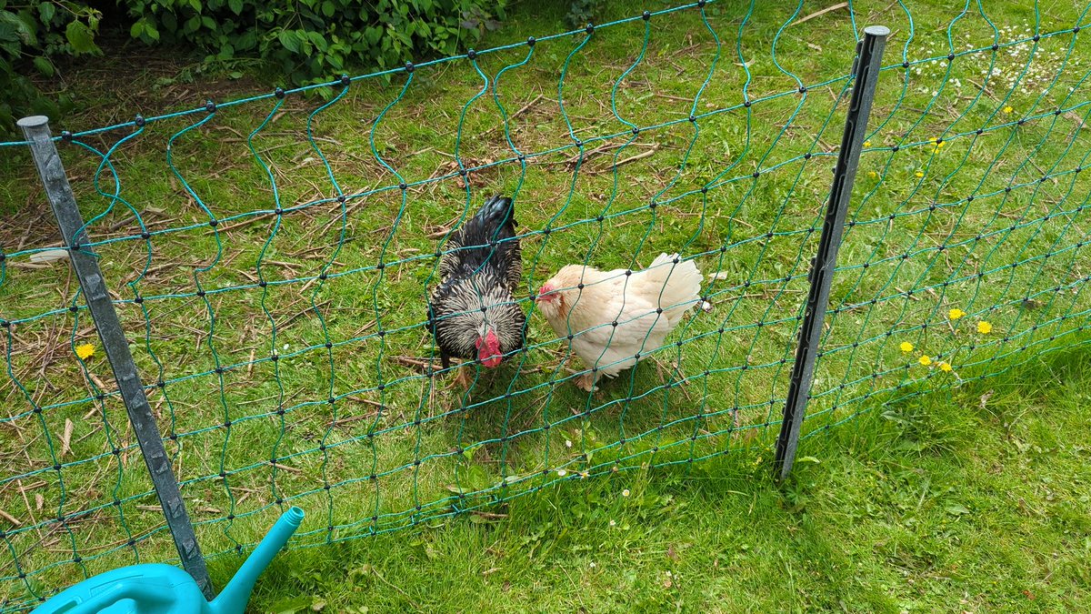 Hibaldstow Academy tweet media