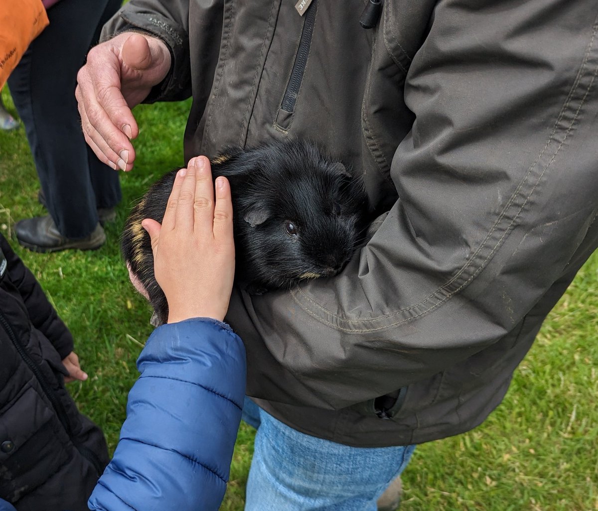 Hibaldstow Academy tweet media