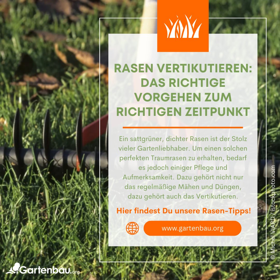Gartenbau_org's tweet photo. Ein grüner Teppich im Garten beginnt mit der richtigen Pflege!   🌱 Erfahre in unserem Artikel   alles über das richtige Vorgehen und den idealen Zeitpunkt zum Rasen   vertikutieren. Dein Rasen wird es dir danken💚 
https://t.co/NUJj7yiz3j
#GartenbauOrg https://t.co/pveoS3IJzx