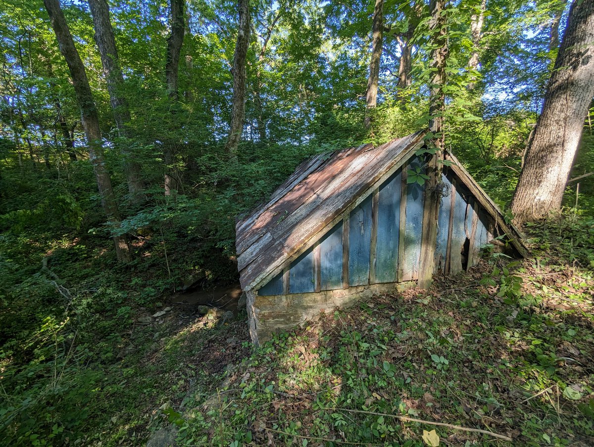 Project this week: renovation on this old pump house.