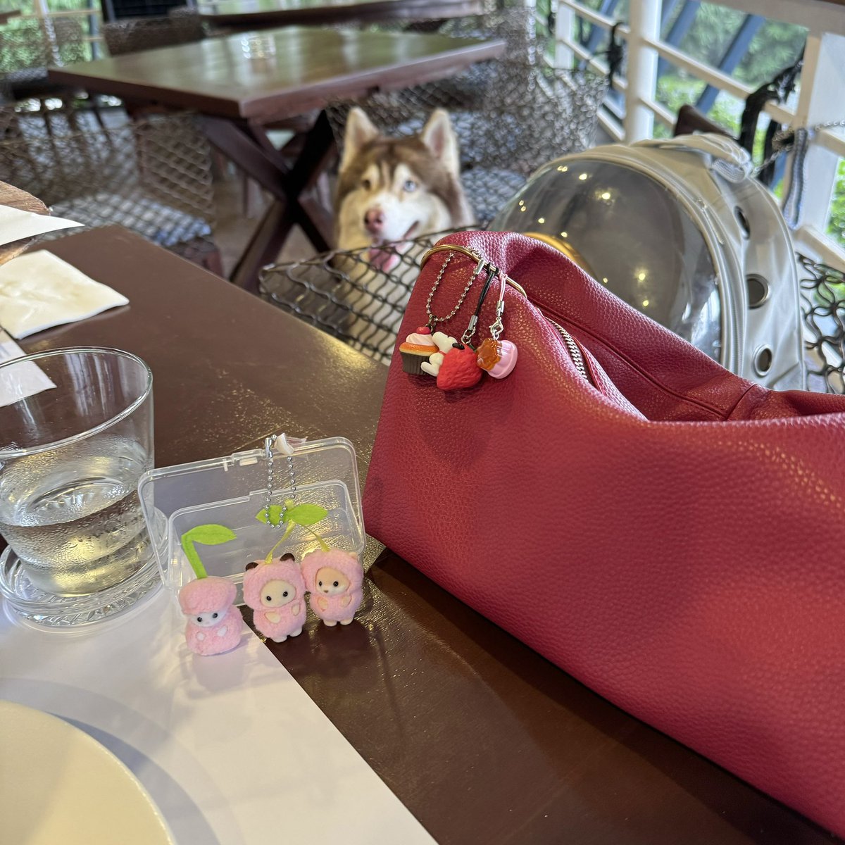 took the kids out today 🍒🌸