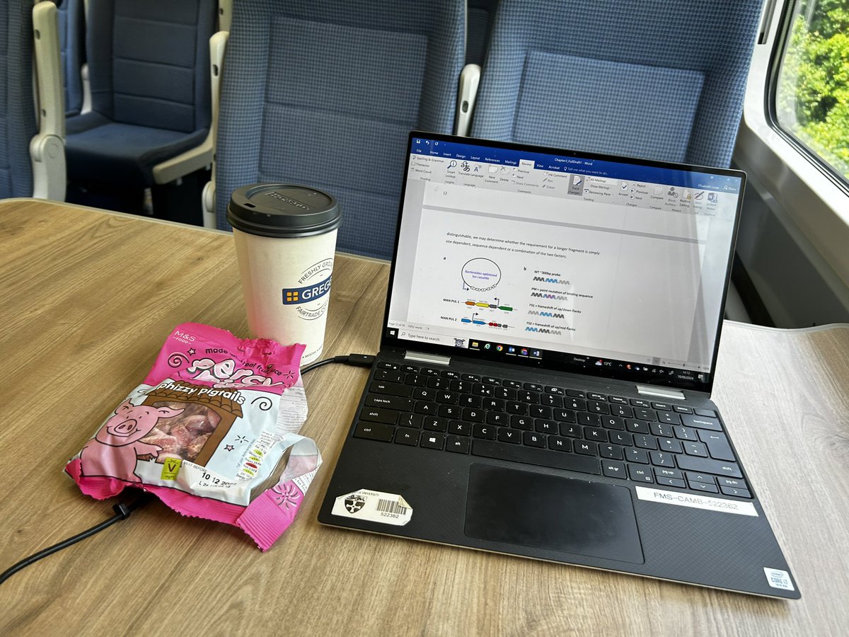 Lis Lowe👩🏼‍🔬 tweet media