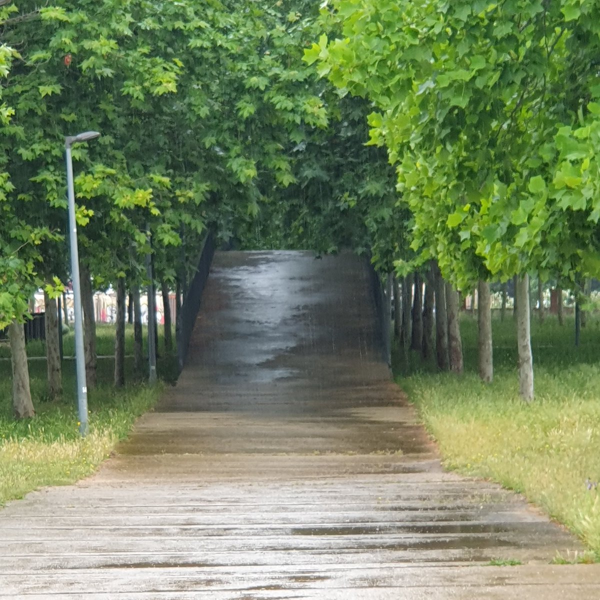 fvm66's tweet image. #Salt