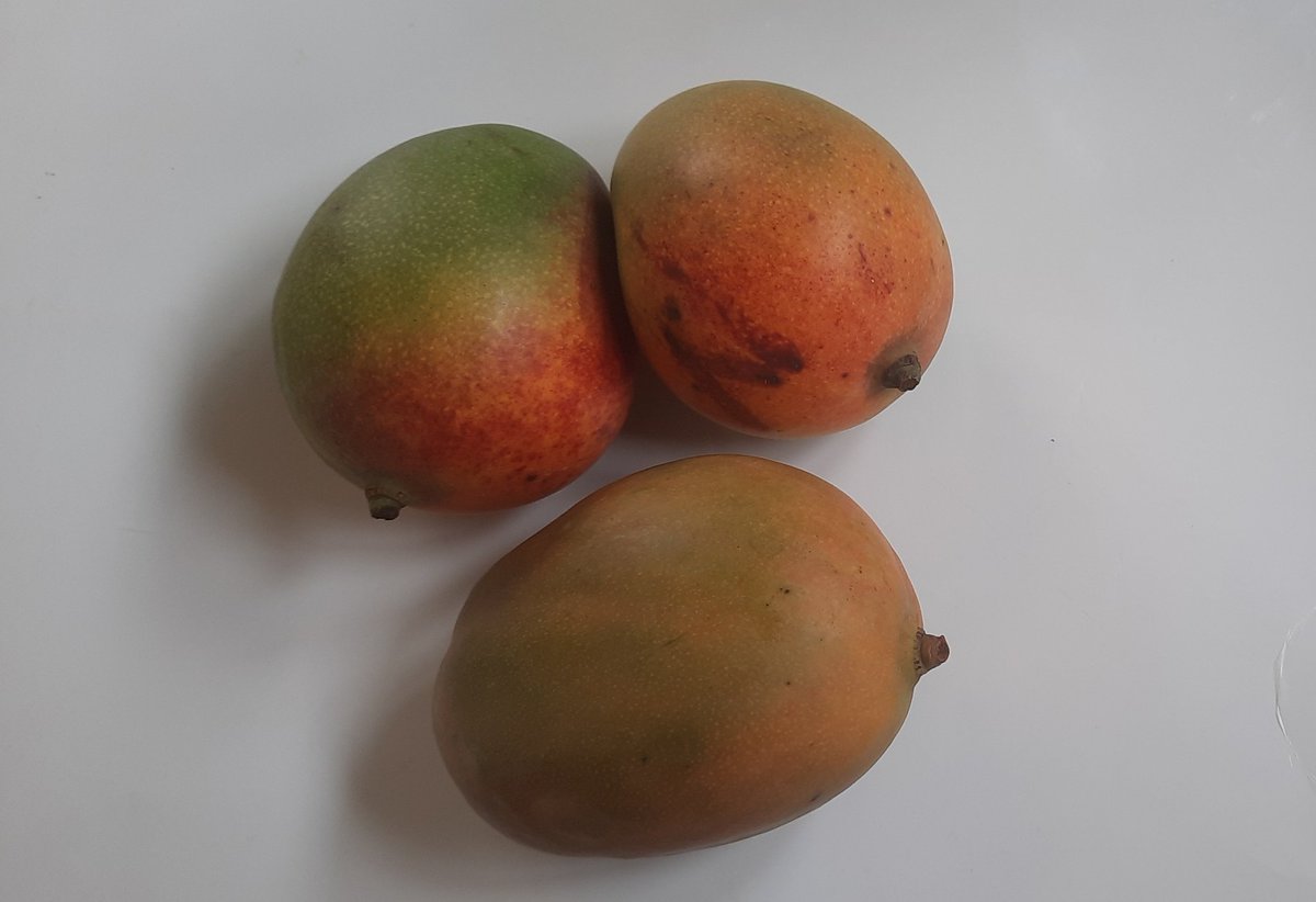 MADININA_GIRL's tweet photo. Le régime alimentaire, il a changéééé. Pfiouuuu, ça faisait tellement longtemps 🤤

#StJo 🫶🏽 https://t.co/fRfjrf2P2R